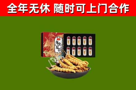 宜兴市回收冬虫夏草价格