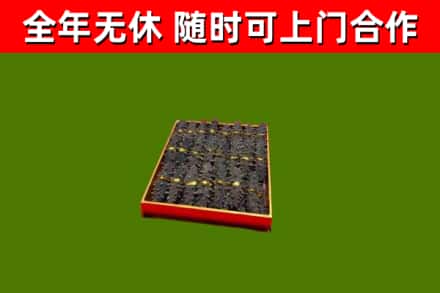 宜兴市回收海参